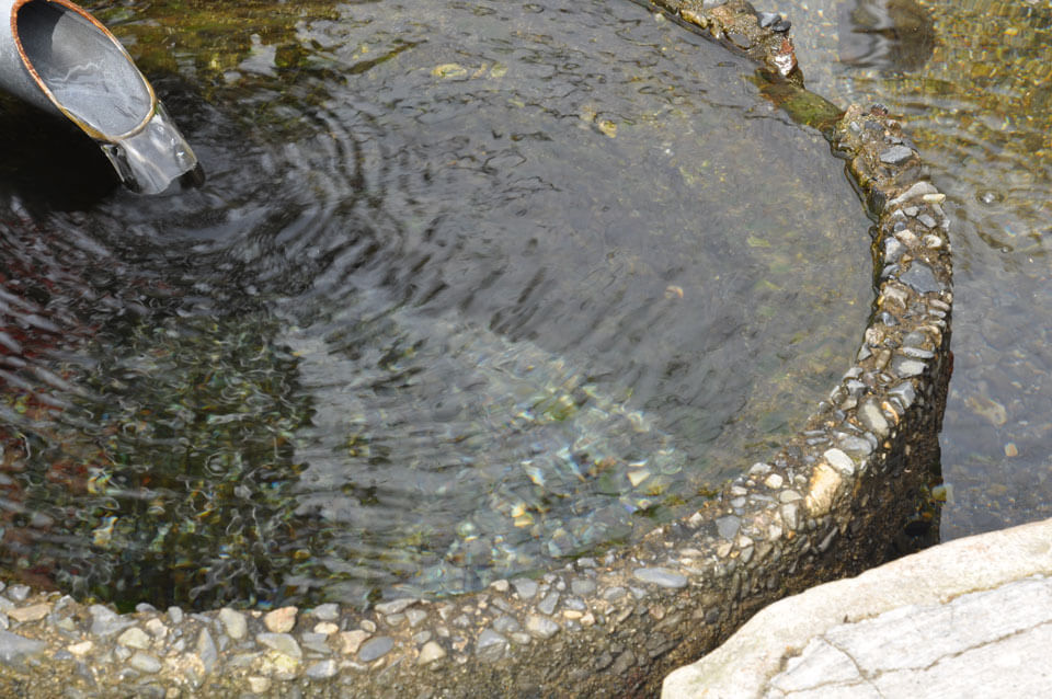 針江の生水