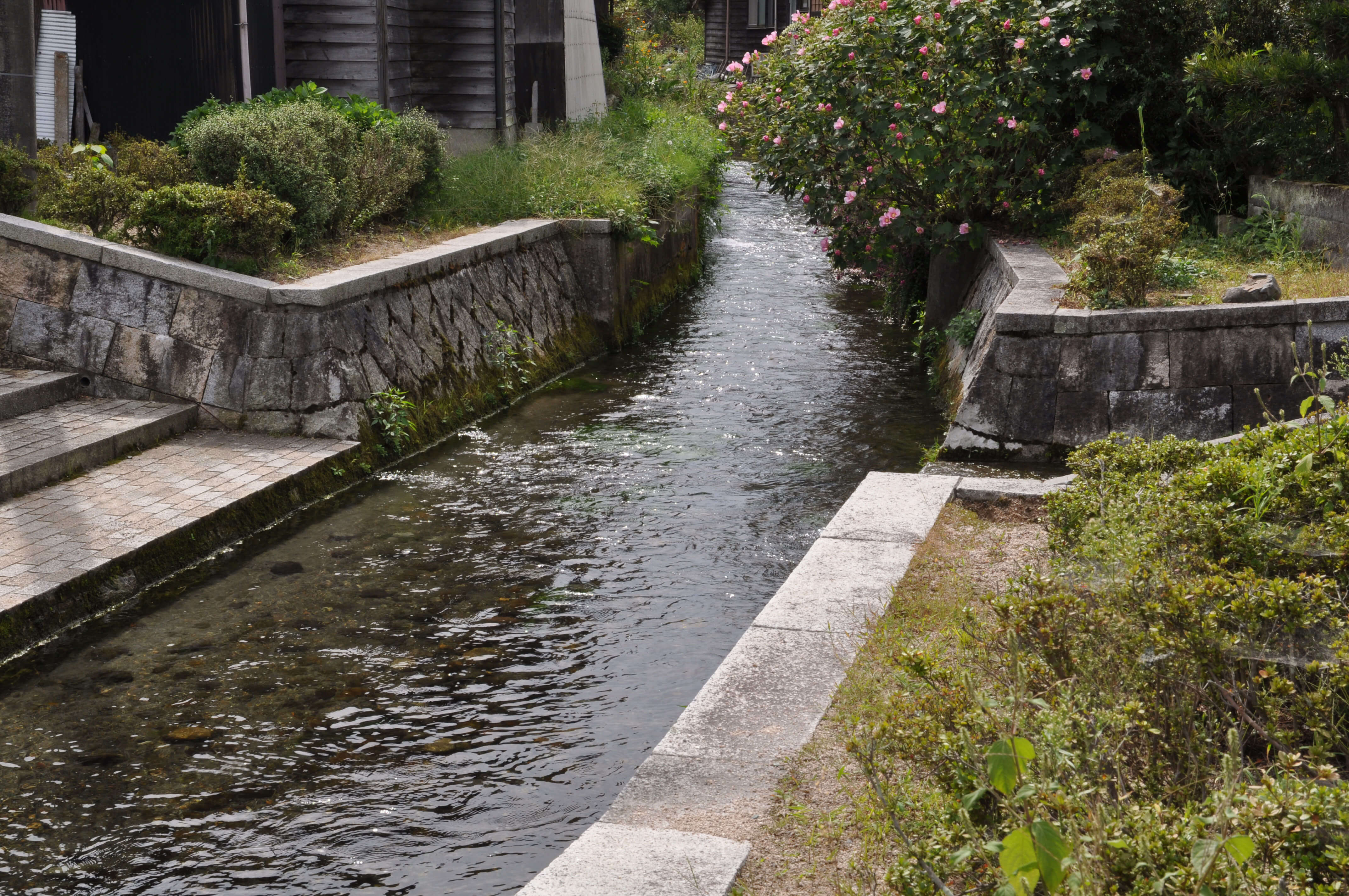 高島市・針江・霜降の水辺景観