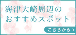 海津大崎の周辺スポットリンク